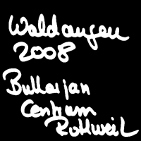 Bullerjan